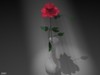 Picture for song 'Anything but love' by artist 'Dubhain Music'