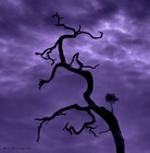 Picture for song 'how to save a life' by artist 'adeeb'