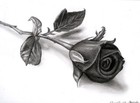 Picture for song '12 Roses' by artist 'Afprz'