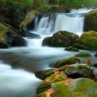 Picture for song 'reunited' by artist 'ajjie'