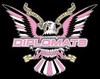 Picture for song 'DIPSET STYLE BEAT!' by artist 'Alcatraz productions'