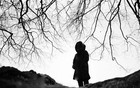 Picture for song 'November Days' by artist 'A Leaf in Fire'