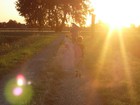 Picture for song 'Dirt Road Home' by artist 'AlexMG'