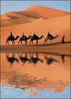 Picture for song 'Eastern sojourn' by artist 'Alex Williamson'