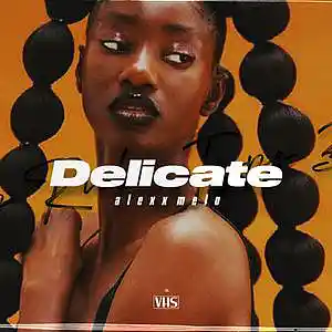 Picture for song 'DELICATE - Guitar Rnb Type Beat' by artist 'Alexx Melo'