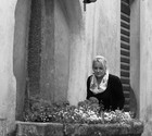 Picture for song 'I Only Cry On Sundays' by artist 'Alison Joy Williams'