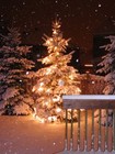 Picture for song 'White Christmas' by artist 'Amy Caldwell and Tom Moore'
