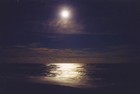 Picture for song 'soft place to fall sung by Danna Moore' by artist 'andrew wood'