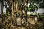 Picture for song 'From the Grave' by artist 'Aokigahara'