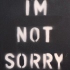 Picture for song '27 im not sorry' by artist 'Arcadia Sun The Band'