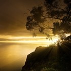 Picture for song '*NEW* DAYS GO BY (Free Download) Emotional Hit!' by artist 'Arson Of ENCORE'