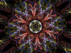 Picture for song 'Ancestral Dance' by artist 'Ashuya'