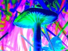 Picture for song 'catch your hallucinations (master)-1' by artist 'Atomic cat'