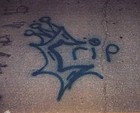 Picture for song 'this fo u gurl' by artist 'AzLboyZ'