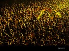 Picture for song 'THA MASSES.mp3' by artist 'BAKER BROWN'
