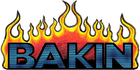 Picture for song 'Mouth For War' by artist 'BAKIN'