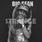 Picture for song 'Strange *SOLD' by artist 'Bass Iz Loaded'