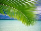 Picture for song '*BEAUTIFUL* Zouk Beat | Free DL' by artist 'Bayleybeats'