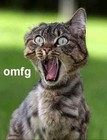 Picture for song '*FIRREEE* WOAH! - Free DL' by artist 'Bayleybeats'