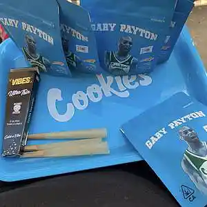 Picture for song 'Lazy Bitch' by artist 'BeatsByM3L'