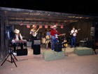 Picture for song 'THERE'S NO MORE GOLD IN CALF.' by artist 'Beau Renfro and The A-Team Band'