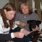 Picture for song 'Union Sundown ~ The 2 Lords ..5:30' by artist 'Bella and Music Boy'