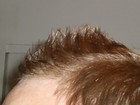 Picture for song 'Don't Touch My Mohawk (Madison Avenue Parody)' by artist 'Below Average Dave'