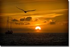 Picture for song '*NEW*Sunset (Free Download)' by artist 'BigBeezy Productions'