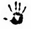 Picture for song 'Poison Palm (Black Hand)' by artist 'Black Lotus'