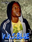 Picture for song 'Fighting for Freedom-V.V.S.Blue (Demo)' by artist 'Blackspear Music'