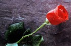 Picture for song 'Deep In Love ---R&B BANGER---' by artist 'Blaze It Up Beatz'