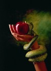 Picture for song 'Forbidden Fruit' by artist 'BlazinFaze'