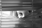 Picture for song 'The Watcher' by artist 'Blest Productions'