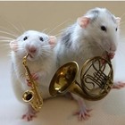 Picture for song 'dreckige Ratten (ft. Ratz Beatz)' by artist 'Blizzart'