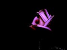 Picture for song 'KAbul (EM)' by artist 'Boundary'