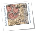 Picture for song 'Open the Door Softly' by artist 'BRANAWEN'