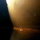 Picture for song 'Sunshine(For Sale)' by artist 'Brass Face(Phoenix Cry)'