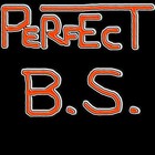 Picture for song 'Perfect B.S.' by artist 'Breezico'