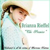 Picture for song 'The Promise' by artist 'Brianna Rieffel'