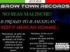 Picture for song 'MEXICAN PRIDER' by artist 'Brown Town Records'