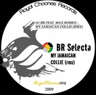 Picture for song 'BR & MAX ROMEO - MY JAMAICAN COLLIE (RMX)128' by artist 'BR selecta'