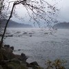 Picture for song 'Misty River' by artist 'Bruce Frostick'