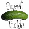 Picture for song 'The Pickle Song' by artist 'Bubblingsoul'