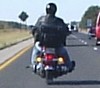 Picture for song 'lets ride' by artist 'Buzzingstrings'