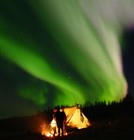 Picture for song 'Rory Rides Me Raw (better version)' by artist 'Cannabis Sativa'