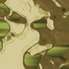 Picture for song '1019' by artist 'caperman'