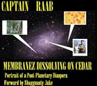 Picture for song 'Artificial Insemination' by artist 'Captain Raab'z Membranes'