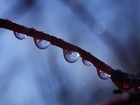 Picture for song 'Rain Falls' by artist 'Carlo D'Anna'
