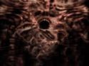 Picture for song 'Paranoid delusions' by artist 'cataclysmic productions'