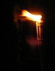 Picture for song 'Bring A Torch (5/8 Irish Version)' by artist 'Charles A Wilson'